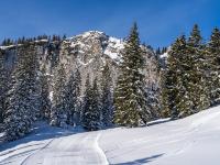 Am Kampenwand Winterwanderweg unterhalb den Mehlbeerwänden